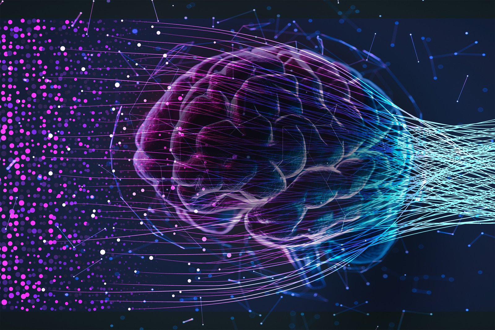 Like human brains, large language models reasons for different data in general